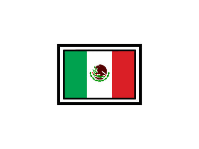 Mexican Flag